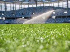 燃情光谷,电竞狂欢盛,斗鱼独家放,新葡京,新葡京app,新葡京娱乐,新普京赌场